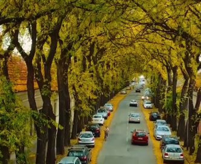 DA LI ZNATE ŠTA JE SOVEMBAR? Zbog ove atrakcije turisti iz celog sveta dolaze u Kikindu