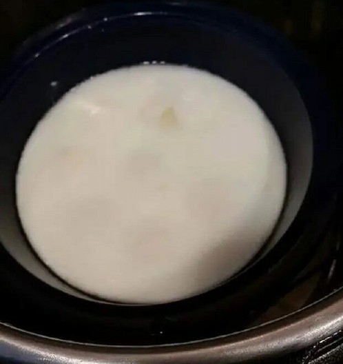 SA 74 GODINE PRONAŠLA NOVOG PARTNERA Najstarija poznata divlja ptica na svetu, albatros Visdom, snela još jedno jaje