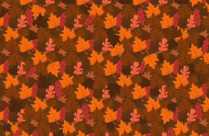 SAMO 1% LJUDI MOŽE U PRVIH 15 SEKUNDI DA PRONAĐE ŽIVOTINJU NA SLICI Proverite da li ste i vi među njima!