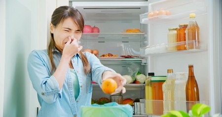 FRIŽIDER ĆE MIRISATI KAO BUKET CVEĆA Samo ubacite ove prirodne sastojke i neprijatan miris će nestati zauvek