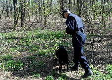 STIGLA DOJAVA, POLICIJA NA HRVATSKO-SRPSKOJ GRANICI PRONAŠLA TELO U ŠUMI! Prizor ih sablasnuo