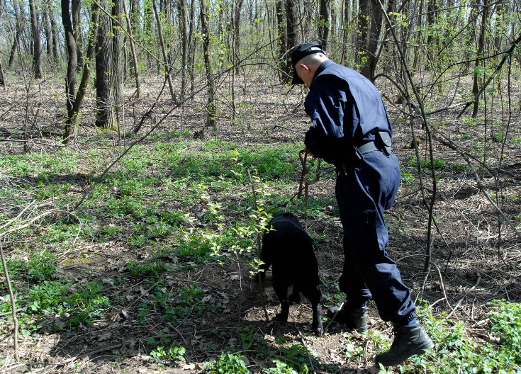 STIGLA DOJAVA, POLICIJA NA HRVATSKO-SRPSKOJ GRANICI PRONAŠLA TELO U ŠUMI! Prizor ih sablasnuo