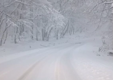 VOJVODINA SKROZ ZAVEJANA Deluje magično, ali se vozačima ovde diže kosa na glavi (VIDEO)