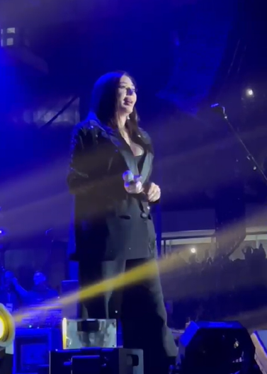 LJUDI TRLJAJU OČI I NE VERUJU ŠTA VIDE! Šok na koncertu Cece Ražnatović, jedan detalj je poremetio sve prisutne! (VIDEO)