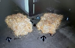 NOVI DETALJI UBISTVA U INĐIJI Priznao da je na Badnje veče sekirom ubio poznanika pa odveo policiju da pokaže gde je sakrio sekiru