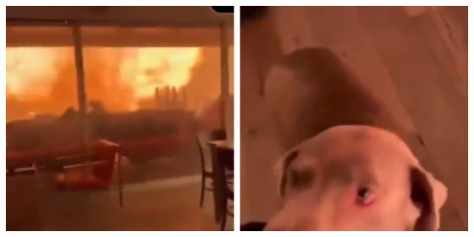 DVOJE LJUDI SA PSOM ZAROBLJENO U KUĆI OKO KOJE BUKTI POŽAR Ovo je jedan od najstrašnijih snimaka iz Los Anđelesa (VIDEO)