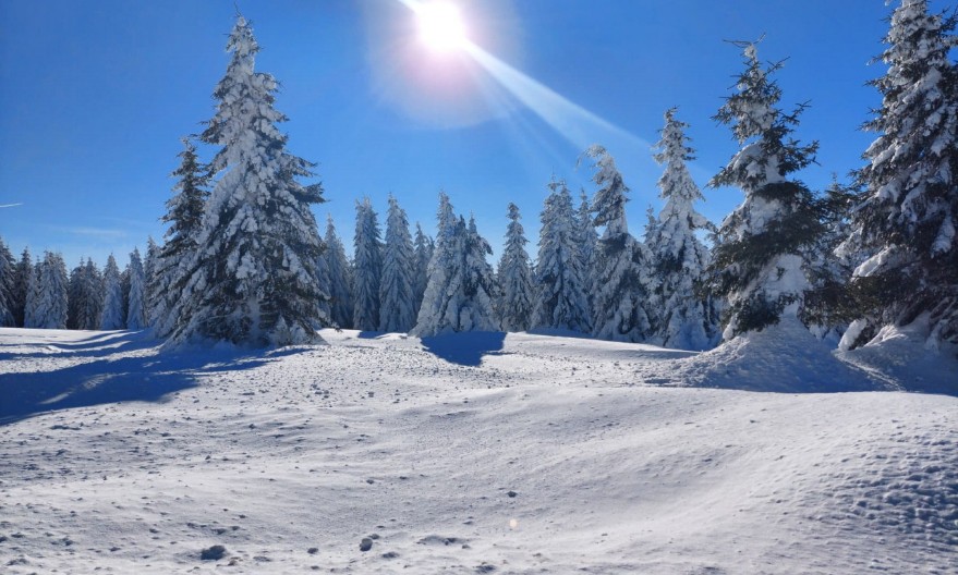 VIKENDICA ZA ČITAVU PORODICU 30 EVRA, A KAFA 100 DINARA Ovo je jedna od najlepšijh ali i najjeftinijih planina u Srbiji