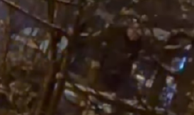 PUCAO NA POLICIJU Pogledajte akciju opkoljavanja Teslićanina