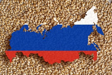 RUSIJA OBARA SVE REKORDE Izvezla 72 miliona tona žitarica u 2024.