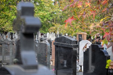 JEZIVO SVETOGRĐE NA KRAGUJEVAČKOM GROBLJU Ljudi su se zgranuli kad su ovo videli na dan Zadušnica