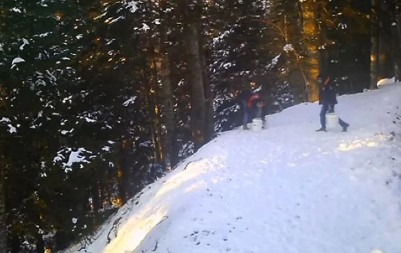 "PRIVLAČI DIVLJE SVINJE, MOŽEMO SE I ZARAZITI!" Iz parka prirode traže osobe sa SKANDALOZNOG snimka! (VIDEO)