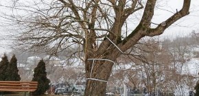 ČUDO KOD CRKVE PRESVETE BOGORODICE! Ne daju mu da umre - meštani se udružili u zajedničkoj borbi!