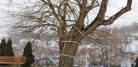 ČUDO KOD CRKVE PRESVETE BOGORODICE! Ne daju mu da umre - meštani se udružili u zajedničkoj borbi!
