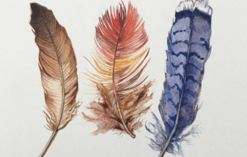 KAKO IZBOR PERA OTKRIVA VAŠU UNUTRAŠNJU SNAGU Pažljivo pogledajte sliku i saznajte šta se krije u dubini duše!