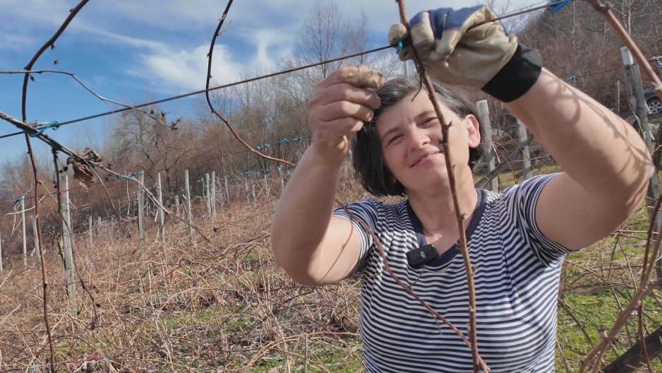 POČELI OD NULE I SA SVOJIH DESET PRSTIJU STVORILI SU SVE Snežana sa suprugom Dankom obavlja teške poslove od jutra do mraka