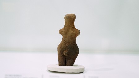 VINČANSKA FIGURINA STARA 7.000 GODINA! Mesto očuvanja istorije, tradicije i suživota - Muzej Ras poseduje preko šest hiljada eksponata