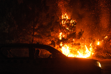 OD RADOSTI DO UŽASNE TRAGEDIJE: Na popularnom FESTIVALU 21 mrtvih i 6.419 povređenih!