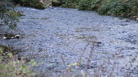 POLITIČAR USKOČIO U NABUJALU REKU KAKO BI POKUŠAO DA SPASE LJUDE "Jedan je već bio mrtav"