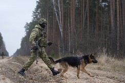 OTKRIVENI RUSKI ŠPIJUNI U UKRAJINI Pokušali da unište ukrajinsku policiju!