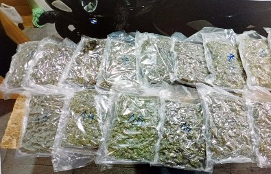 KRENUO NA ISPORUKU PA UHAPŠEN SA KANBISOM   Protiv Nikole je sada podignuta optužnica