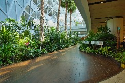 NAJBOLJI AERODROM NA SVETU PUTNICI OBOŽAVAJU Mnogi dolaze samo da bi uživali u ambijentu i uzbudljivim sadržajima