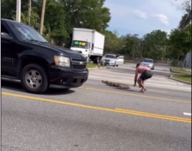 FILMSKA AKCIJA NA SRED ULICE Srpski MMA borac golim rukama savladao džinovskog reptila, prolaznici mu aplaudirali! (VIDEO)