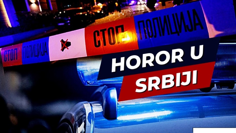 UŽASNO JE IZGLEDALO, KAŽU DA JE VEĆ DUŽE VREME BIO TAMO Jeziva scena na obali Šumaričkog jezera gde je pronađeno telo muškarca (FOTO)