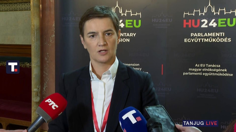 "U PRAVU STE, VUČIĆEVI JUNACI OSTAJU U PRITVORU, A VAŠI TERORISTI SU NA SLOBODI" Ana Brnabić odgovorila N1 (FOTO)
