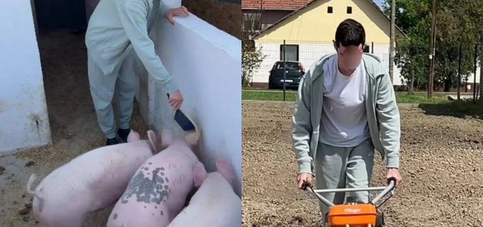 HRANI SVINJE I ŽIVINU PRE ŠKOLE! Sestrić našeg milionera neguje tradiciju života na selu: ''Od 14. godine sam održava svoje imanje''