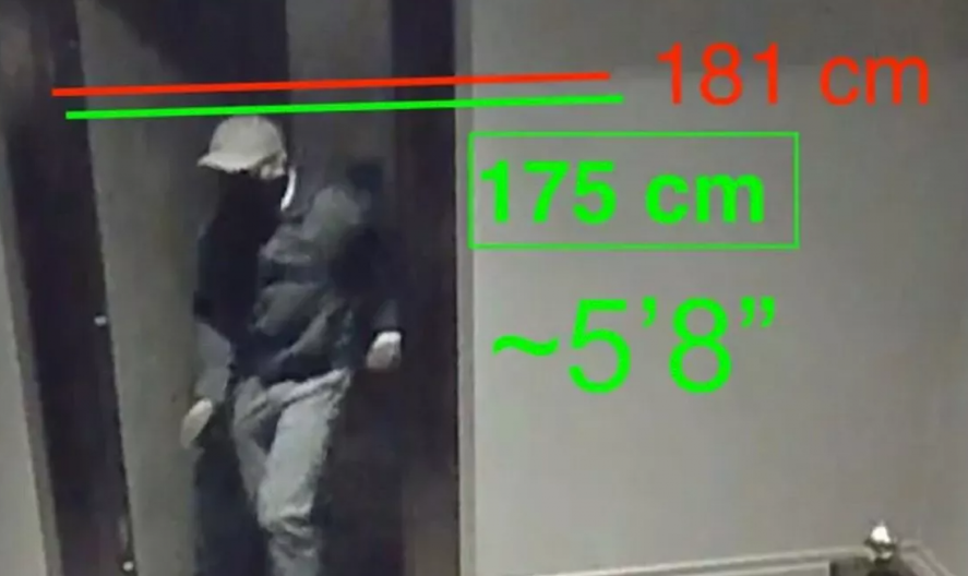 PLJAČKA VEKA, U PITANJU SU MILIONI  Kako je lopov nadmudrio ljude u luksuznoj vili