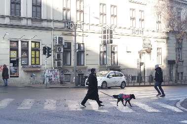 ŠOK VREME ZA BADNJI DAN! RHMZ se oglasio ranom zorom, zna se šta nas čeka cele nedelje