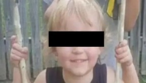 DEČAKA (2) IZUJEDAO PAS, UMRO U STRAŠNIM MUKAMA! Majka objavila potresnu poruku: "Nisu mogli da zaustave krvarenje..."