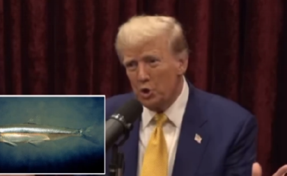 TRAMP PREDVIDEO SPALJIVANJE KALIFORNIJE? "Dunuće pravi vetar i sve će otići dođavola!"