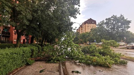 DRVEĆE SRUŠENO NA PUTEVE I AUTOMOBILE, CREPOVI PADAJU SA ZGRADA... Velika šteta nastala za samo nekoliko minuta, "nezapamćeno" nevreme u komšiluku