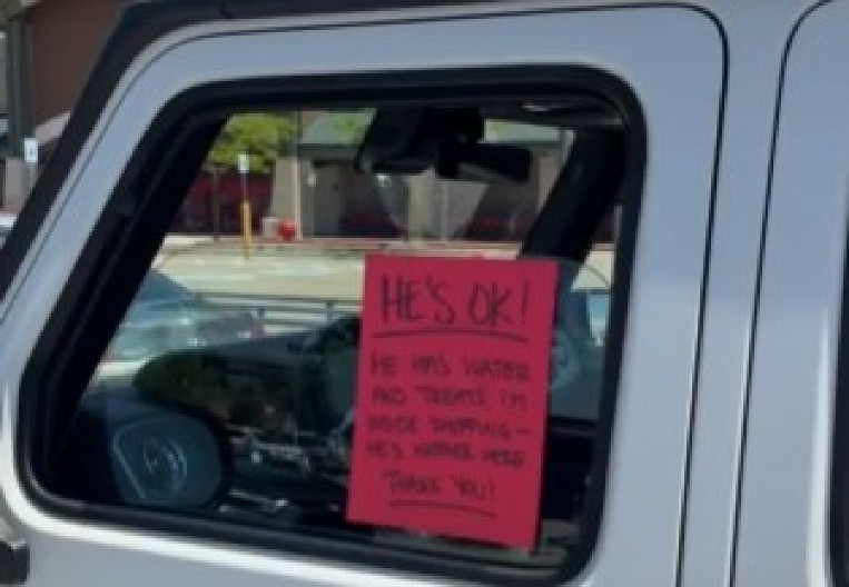 OSTAVILA GA U AUTU NA 40 STEPENI, ZAKLJUČANOG! Poruka na staklu izazvala opštu paniku – ljudi u šoku kad su pročitali! (VIDEO)