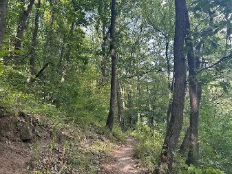 MISTIČNA STAZA PODNO SRPSKE PLANINE! Njom je prolazio patrijarh Pavle, a malo ko zna za njenu tajnu (FOTO)