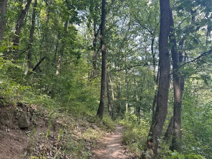 MISTIČNA STAZA PODNO SRPSKE PLANINE! Njom je prolazio patrijarh Pavle, a malo ko zna za njenu tajnu (FOTO)