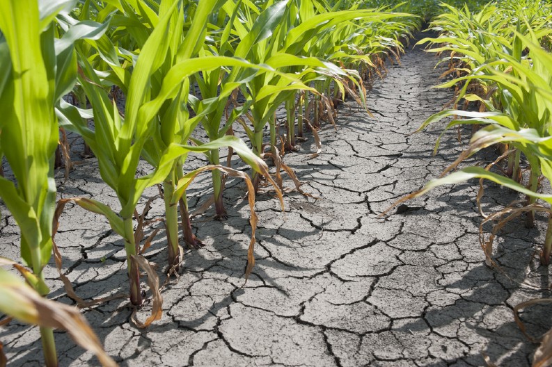PROGLAŠENA VANREDNA SITUACIJA U OVOM SRPSKOM GRADU "U narednom periodu..."