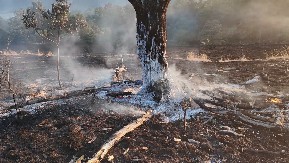 PORODIČNA KUĆA I VOĆNJAK IZGORELI KOD VLADIČINOG HANA Vatrena stihija zahvatila pet hektara zemlje