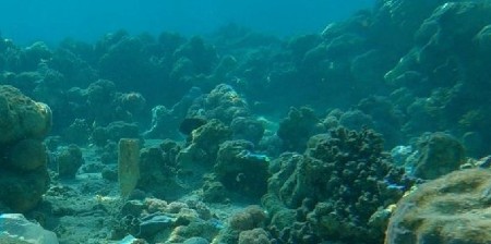 NAJLEPŠA STATUA ISUSA HRISA NALAZI SE POD VODOM Pogledajte kako izgleda (VIDEO)