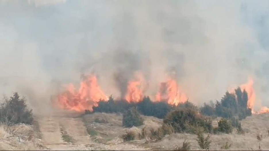 GROM IZAZVAO PAKAO KOD ČAČKA! Buknulo odjednom, vatra ide ka kućama!