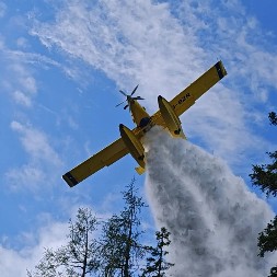 I DALJE BUKTI POŽAR KOD NEGOTINA! Gori površina od 60 hektara, angažovani i helikopteri