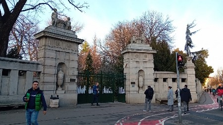 JAPANSKI VRT U BOTANIČKOJ BAŠTI „JEVREMOVAC”: Koi šarani, jezerca i sakura privlače posetioce