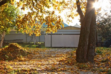 TREBA VAM DESETAK MINUTA ZA BUJNIJI I ZELENIJI TRAVNJAK Uradite samo ovo u bašti - važnije je nego što mislite