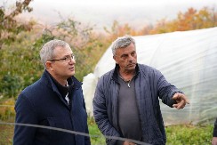 DRŽAVA ĆE POMOĆI SVIMA KOJI SU PRETRPELI ŠTETU Ministar Glamočić obišao mesta u kojima je sneg uništio na hiljade zasada