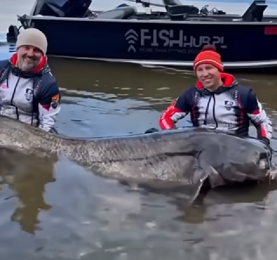 UPECALI OGROMNOG SOMA I ZANEMELI OD ŠOKA KAD SU GA IZVUKLI NA OBALU - "Nismo verovali svojim očima, imao je glavu kao čudovište"