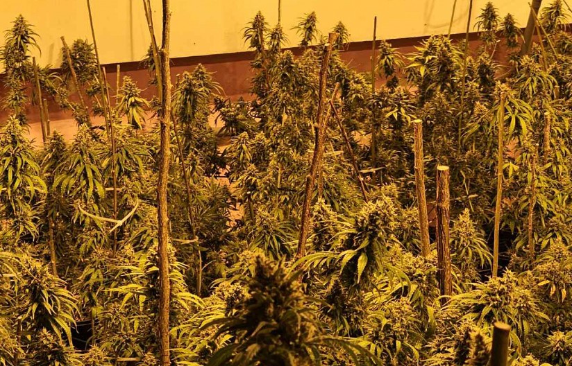 PORODIČNI POSAO  Hapšenje kod Kruševca