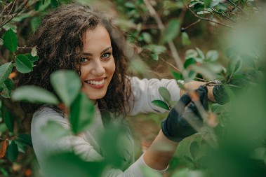 NAJZDRAVIJU BILJKU NA SVETU LAKO MOŽETE DA GAJITE U SVOJOJ BAŠTI Moćni plodovi su zlata vredni - snaže imunitet i ublažavaju brojne tegobe