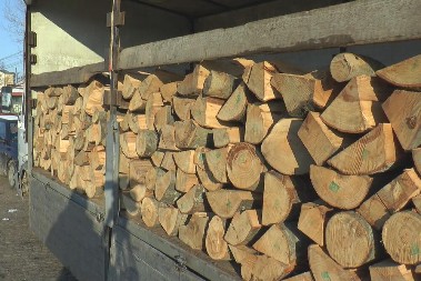 SJAJNA VEST ZA GRAĐANE! "Srbijašume" objavile cene! Kubik drva drastično jeftiniji, za najugroženije još niža cena!