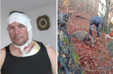 OVO JE LOVAC KOGA JE NAPALA MEDVEDICA Jeziva ispovest: Kao puma se bacila na mene, nisam smeo da promašim